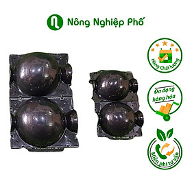 Mua Bầu nhựa hỗ trợ chiết cành