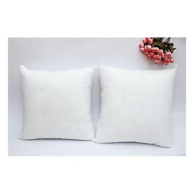 Mua Combo 2 ruột gối sofa  gối ôm  gối tựa lưng 45 x 45cm