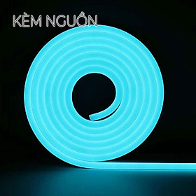 Dây Led Neon Flex 12V Kèm Nguồn Dài 1M/2M/3M/5M Trang Trí Cổ Điển