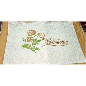 Mua Áo Gối Satin 45 x 65