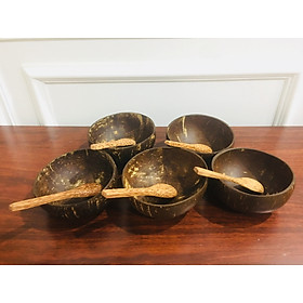 Bộ 5 chén gáo dừa + muỗng gỗ dừa