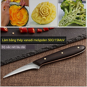 Mua Dao Tỉa hoa Điêu Khắc ngắn Thép Không Rỉ Tỉa Rau Củ Quả Trái Cây siêu sắc cán gỗ_ Carving Knives Tools