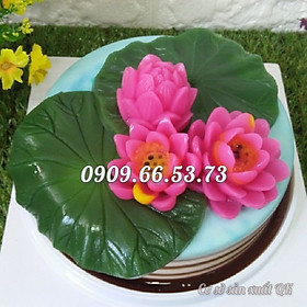 Bộ 2 khuôn rau câu silicon hoa sen và lá sen – Mã số 1017