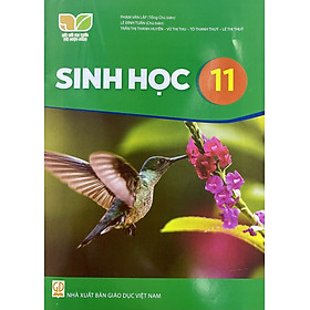 Combo 3 cuốn Sinh học lớp 11 (Kết nối tri thức với cuộc sống)