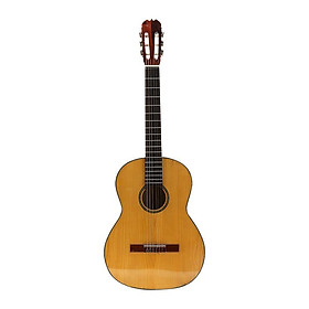 Mua Guitar Classic SCG02 - Guitar chơi nhạc cổ điển - Kèm Phụ Kiện