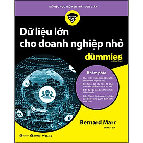 Hình ảnh sách Dữ Liệu Lớn Cho Doanh Nghiệp Nhỏ For Dummies