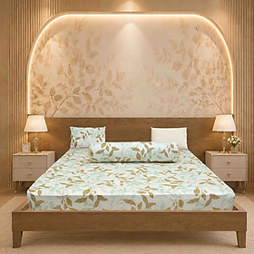 Bộ drap gối cotton phối màu Hometex