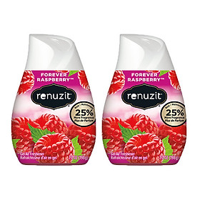 Combo 2 cục Sáp Thơm Phòng Renuzit Forever Raspberry 198g