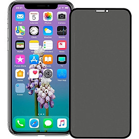 Mua Tấm dán cường lực full 9H chống nhìn trộm dành cho iphone 11 6.1 inch