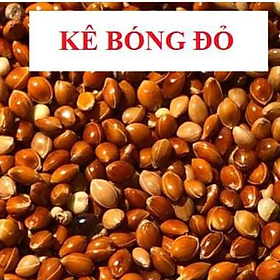 Hình ảnh COMBO 5Kg KÊ ĐỎ TO (BÓNG ĐỎ) CHO CHIM,VẸT, YẾN PHỤNG, CU GÁY, BỒ CÂU, MANH MANH