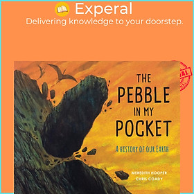 Sách - The Pebble in My Pocket : A History of Our Earth by Meredith Hooper (UK edition, paperback)