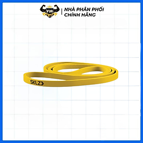 Dây kháng lực tập gym PRO BANDS SKLZ