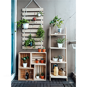 Mua Combo Kệ Gỗ Trang Trí Cây  Giá Gỗ Treo Cây Cảnh Và Hộp Pallet Đa Năng Để Ngoài Trời  Trọn Bộ  Trang Trí Ban Công Multibox