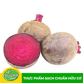 Chỉ Giao HCM - Củ Dền hữu cơ Organicfood - 500g