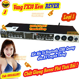 Mua VANG CƠ FX30 PLUS CÓ REVER CAO CẤP – VANG KARAOKE