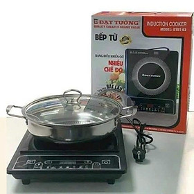 Bếp từ Đạt Tường chính hãng công suất 2000W, bếp điện từ 8 chế độ nấu đa năng, tặng kèm nồi lẩu 28cm