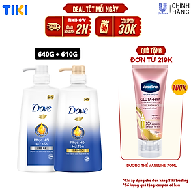 Combo Dove Phục Hồi Hư Tổn Dầu Gội 640g + Kem Xả 610g