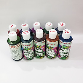 Set 10 Chai Nước Nhuộm Hoa Tươi Công Nghệ Israel (chai 100ml x10 màu) giúp học sinh nhuộm đổi màu hoa theo ý muốn tại trường và tại nhà