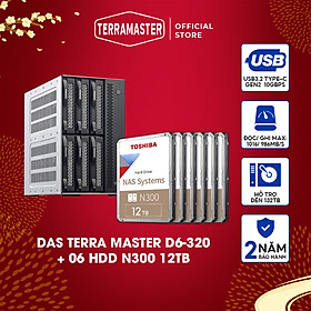 Mua Bộ thiết bị lưu trữ DAS TerraMaster D6-320 6-bay+N300 Hàng chính hãng