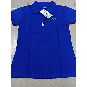 Áo thun có cổ (size xl toi 4xl) 40-70kg