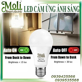 Mua ĐÈN LED CẢM ỨNG ÁNH SÁNG MOLI - NGÀY TỰ ĐỘNG TẮT VÀ ĐÊM TỰ ĐỘNG BẬT