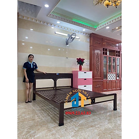 Mua Giường sắt hộp kiểu gỗ Đại Thành 1m6 - Mẫu 03
