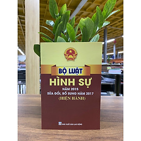 Bộ luật hình sự ( hiện hành)