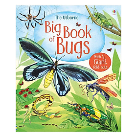 Sách tương tác tiếng Anh: Big Book Of Bugs
