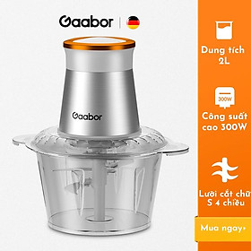 Mua Máy xay thịt thực phẩm đa năng GAABOR GJ-M20B 2L (Inox - Tô Thủy Tinh) - thép không gỉ - Hàng chính hãng