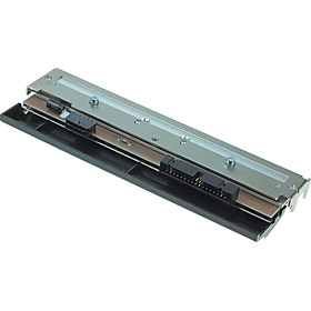 Mua Đầu in Zebra Z6M plus 203dpi - Hàng chính hãng