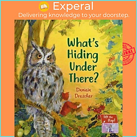Sách - What's Hiding Under There? - A Magical Lift-the-Flap Book by Daniela Drescher (UK edition, boardbook)