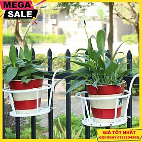 Mua Combo 2 Giỏ Treo Chậu Hoa Tiện Dụng (Giao Ngẫu Nhiên Mẫu) - Giao Hàng Toàn Quốc