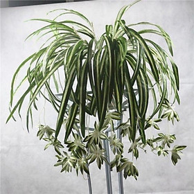 Mua Hoa Giả - Cụm Lá Tóc Tiên Rủ Dài 60cm Loại Đẹp