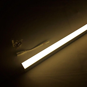 Mua ĐÈN TUÝP LED MÀU TRANG TRÍ 30CM  60CM  90CM  120CM T5 LIỀN MÁNG