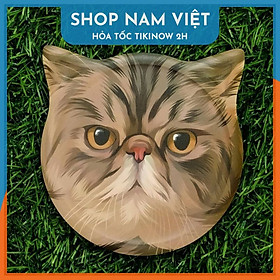 Mua Đế Lót Ly Diatomite Siêu Thấm Hút Hình Mặt Mèo