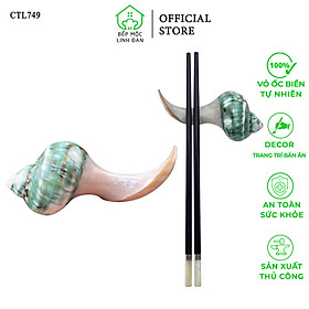 Mua Gác Đũa Ốc Biển Xanh NewZealand Cao Cấp - Nguyên Khối Độc Đáo (01 Chiếc) CTL749