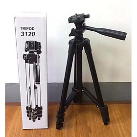 Mua Gậy Chụp Ảnh 3 Chân Tự Sướng Tripod 3120 | TF-3120 và Tripod 3110 | TF-3110