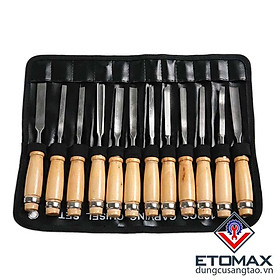 Mua Bộ dụng cụ 12 cây đục  tiện gỗ cao cấp v1