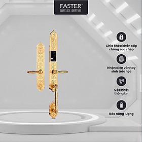 Mua Khóa đại sảnh FS009F24K BRASS FASTER mẫu có nắp mở bằng mật mã  vân tay  thẻ từ