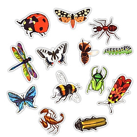 Set 30 Sticker côn trùng