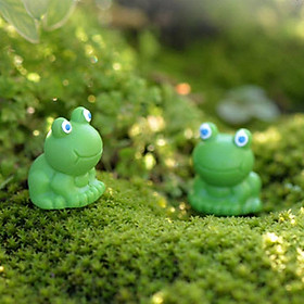 20x Miniature Fairy Garden Micro Landscape Mini Dollhouse Bonsai Decor Frog