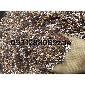 Đất trồng sen đá túi 1kg đất trồng sen đá xương rồng 90% đá