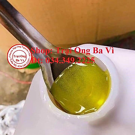 Mua Mật Ong Thiên Nhiên Hoa Bạc Hà Thơm Vàng Đủ 1.4 Kg 1 Lít Khai Thác Chính Vụ Tháng 11