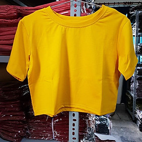 Áo Thun CROPTOP TRƠN FORM RỘNG Nữ (Khách xem BẢNG SIZE nhé)