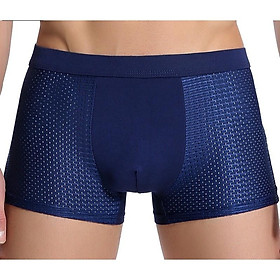 Quần lót boxer nam WS61 - Quần sịp đùi lưới thông hơi thoáng mát