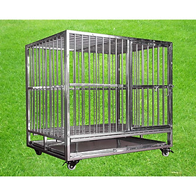Chuồng chó mèo inox mái vòm và mái vuông