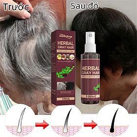 Mua Phục Hồi Tóc Bạc Tại Nhà Hiệu Quả   Dưỡng Thảo Dược Đen Tóc  ĐÈN TRANG TRÍ   ĐỒNG HỒ TREO TƯỜNG