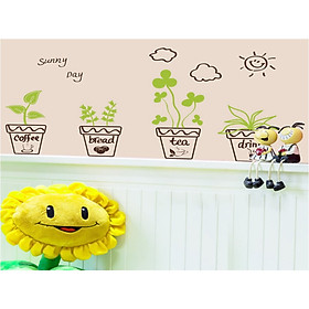 DECAL CHẬU HOA