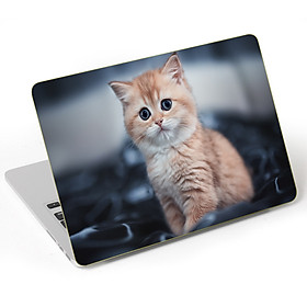 Mua Miếng Dán Trang Trí Mặt Ngoài + Lót Tay Laptop Nghệ Thuật LTNT -  940