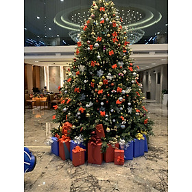 Mua Cây Thông Noel Cao Cấp - Hàng VIP Tán Rộng Lá Đẹp - Cây Thông Phù Hợp Cho Không Gian Sang Trọng